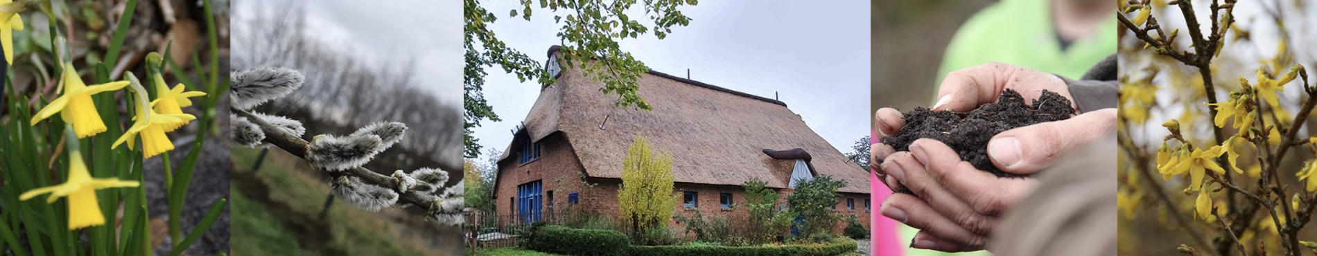 Freie Waldorfschule Itzehoe